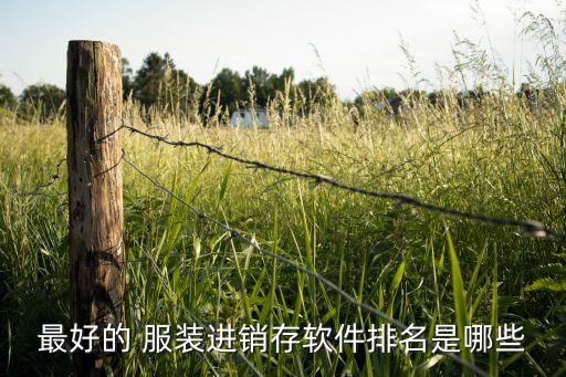 最好的 服装进销存软件排名是哪些