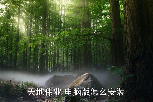 天地伟业 电脑版怎么安装