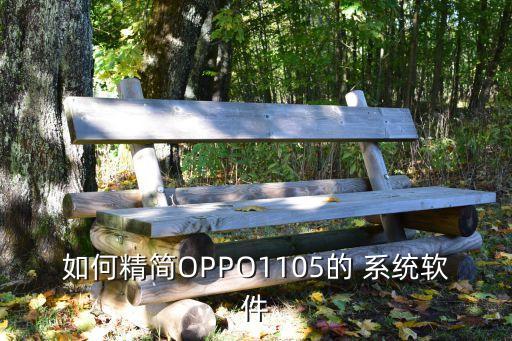oppo零售系统软件6