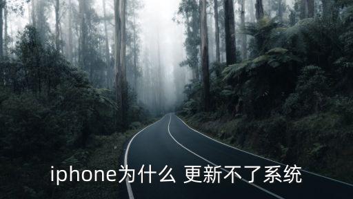苹果手机更新不了系统软件
