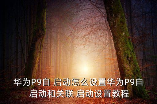 用手机怎么启动系统软件