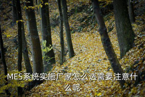 MES系统实施厂家怎么选需要注意什么呢
