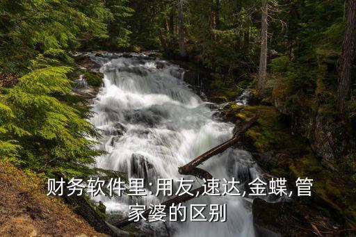  财务软件里:用友,速达,金蝶,管家婆的区别