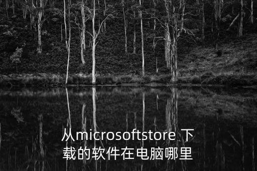 从microsoftstore 下载的软件在电脑哪里