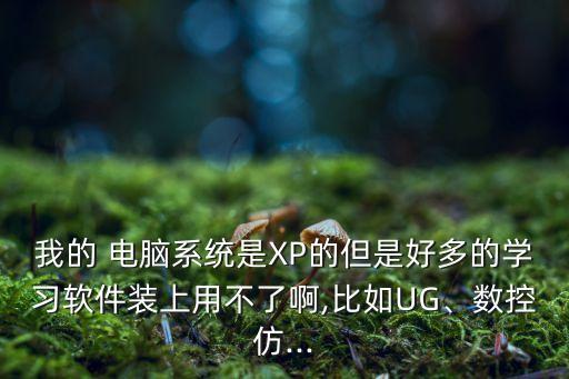 我的 电脑系统是XP的但是好多的学习软件装上用不了啊,比如UG、数控仿...