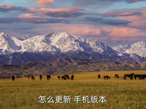 如何升级手机兼容系统软件,oppo手机升级系统软件
