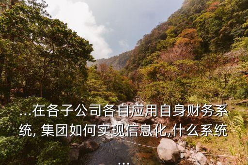 ...在各子公司各自应用自身财务系统, 集团如何实现信息化,什么系统...