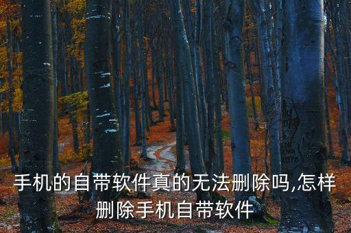 怎么可以把系统软件删了,华为手机怎么可以删除系统软件