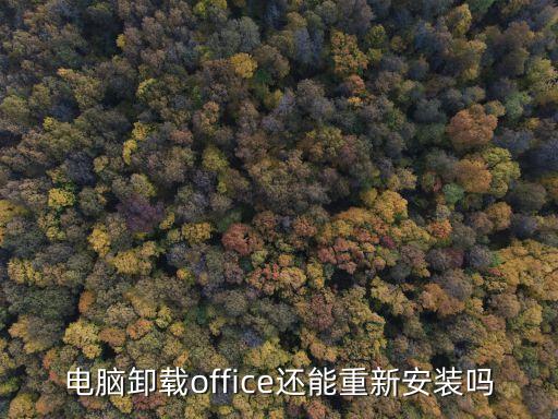 重装word系统软件,重装了系统软件怎么放到桌面