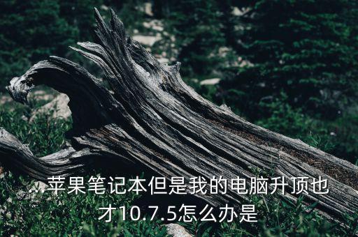 ...苹果笔记本但是我的电脑升顶也才10.7.5怎么办是