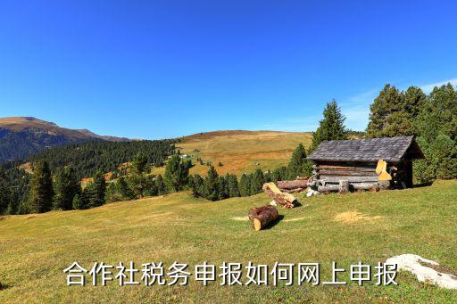  合作社税务申报如何网上申报