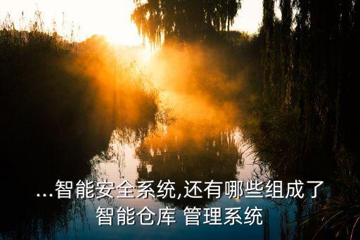 ...智能安全系统,还有哪些组成了智能仓库 管理系统