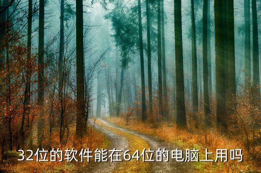 32位的软件能在64位的电脑上用吗