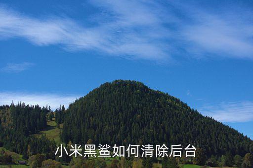 小米黑鲨如何清除后台