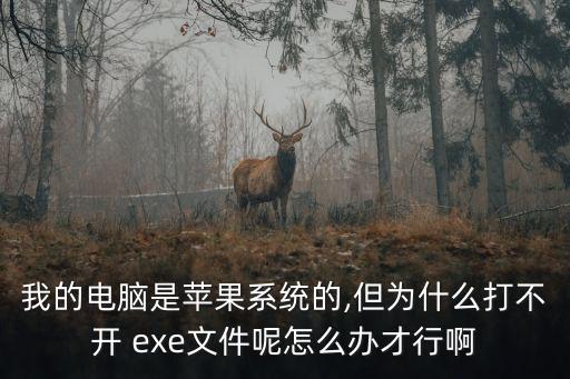 哪个系统软件可以打开exe,什么系统软件可以打开PDF