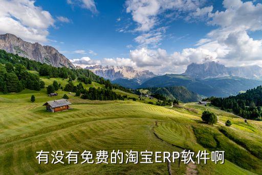 有没有免费的淘宝ERP软件啊