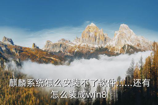  麒麟系统怎么安装不了软件……还有怎么装成win8