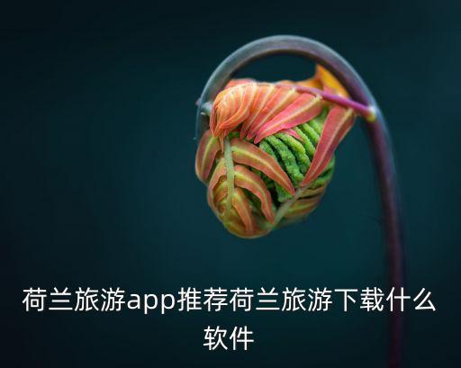 重庆实时雨量查询系统软件