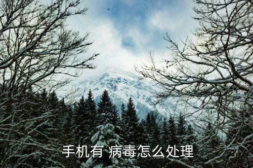  手机有 病毒怎么处理