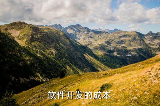 软件开发的成本