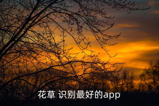 花草 识别最好的app