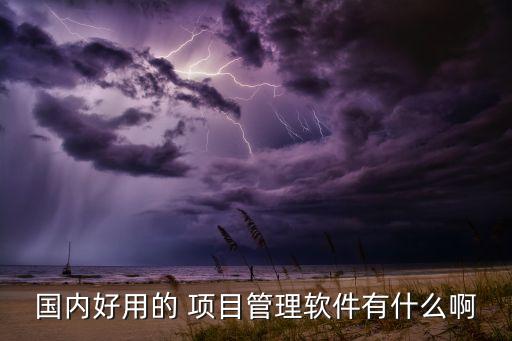 开发项目系统软件有哪些