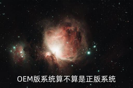 系统软件有oem版的吗
