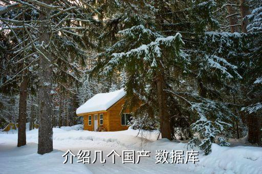 介绍几个国产 数据库