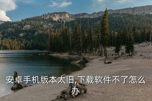 安卓手机版本太旧,下载软件不了怎么办