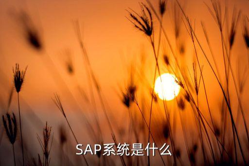 SAP系统是什么
