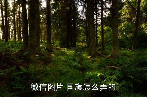 国旗升降系统软件