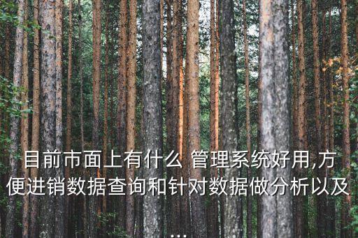 目前市面上有什么 管理系统好用,方便进销数据查询和针对数据做分析以及...