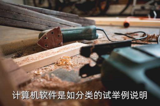 计算机软件是如分类的试举例说明