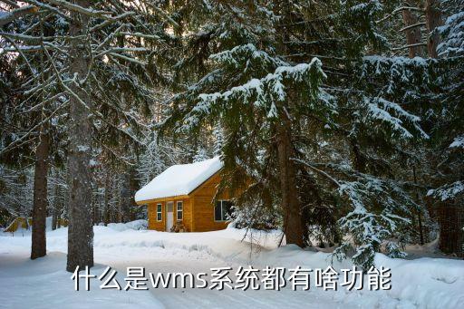 仓库自动拣货系统软件