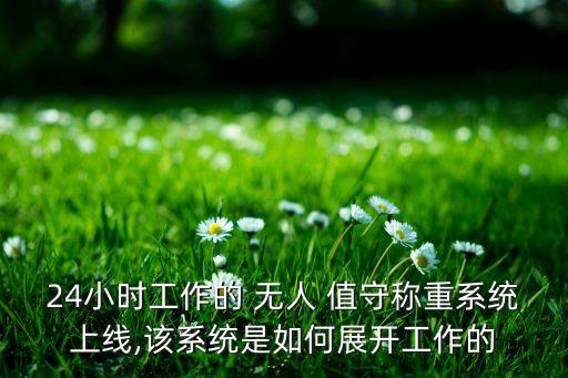 黑龙江无人值守系统软件,无人值守地磅系统软件哪家好用