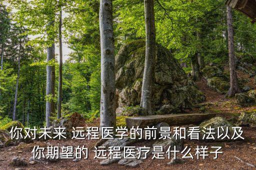 你对未来 远程医学的前景和看法以及你期望的 远程医疗是什么样子