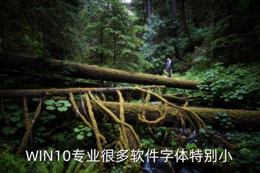 win10系统软件适配,手机刷win10适配机型