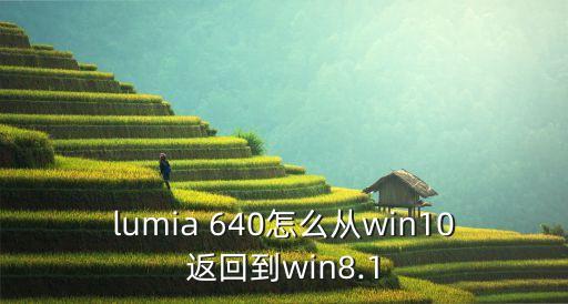 lumia 640怎么从win10返回到win8.1