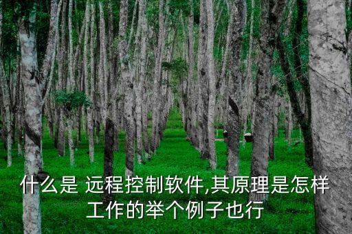 什么是 远程控制软件,其原理是怎样工作的举个例子也行