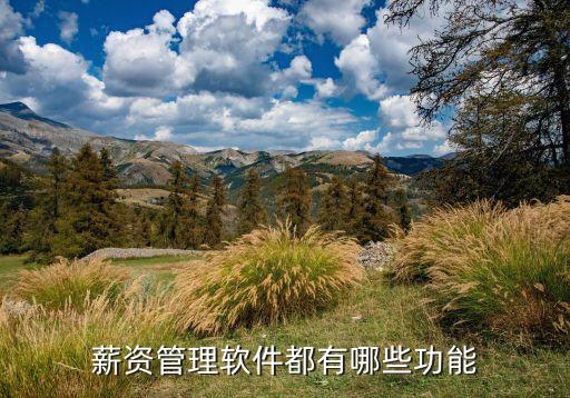 工资发放系统软件结构图,机票预定系统软件结构图