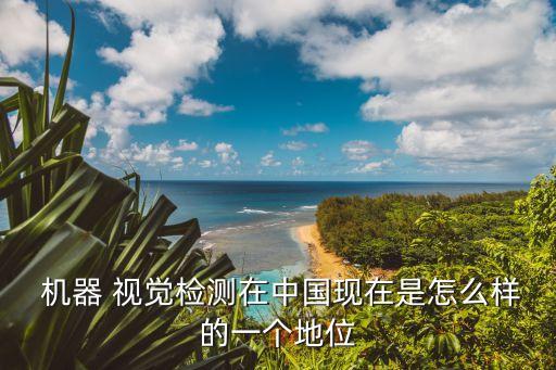  机器 视觉检测在中国现在是怎么样的一个地位