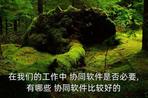 在我们的工作中 协同软件是否必要,有哪些 协同软件比较好的