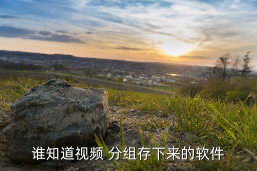 谁知道视频 分组存下来的软件