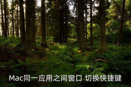 在mac如何切换系统软件,MAC系统软件