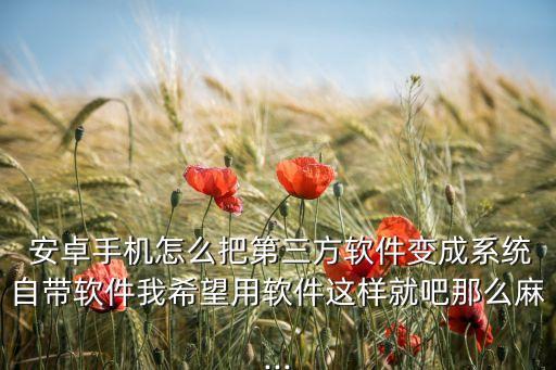 安卓 如何替换系统软件,安卓变iphone系统软件永久