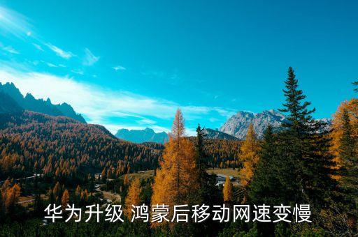 鸿蒙系统软件加载慢,仿鸿蒙系统软件APP