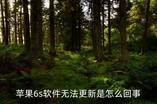 手机系统软件不能升级,oppo手机升级系统软件