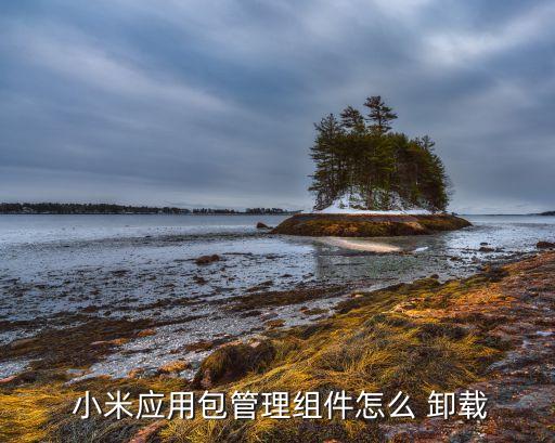  小米应用包管理组件怎么 卸载