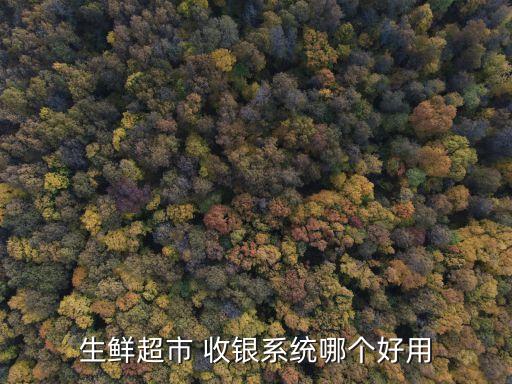生鲜超市 收银系统哪个好用