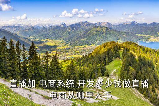 直播加 电商系统 开发多少钱做直播 电商从哪里入手